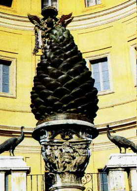 The largest pine cone in the world