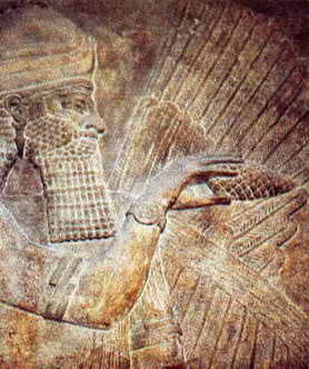 Assyrian winged god with pine cone